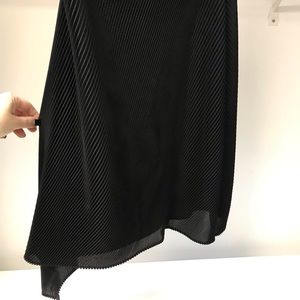 Designer Black Pleated Sheer Skirt